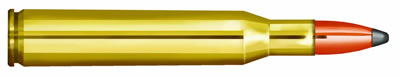 270 Winchester