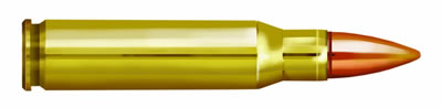 308 Winchester